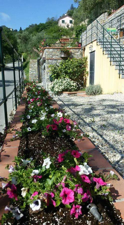 B&B Le Colline Di Bana Camogli Exterior foto